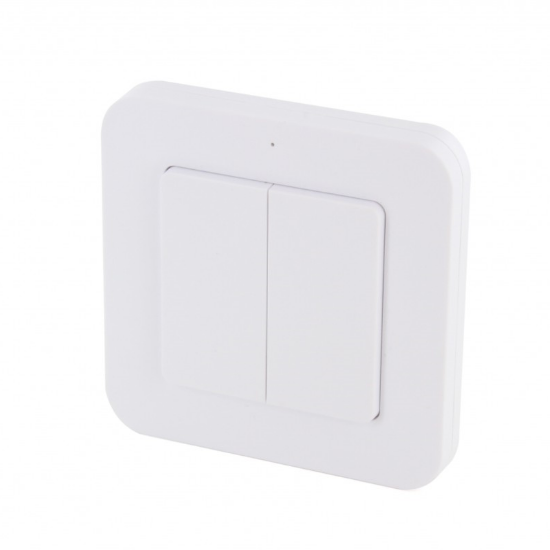 Picture of DiO 1.0 double wireless indoor switch